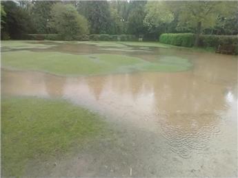 Bowling Green or Brown?